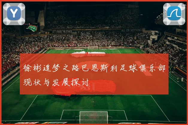 徐彬追梦之路巴恩斯利足球俱乐部现状与发展探讨
